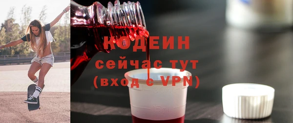 прущие грибы Вязники