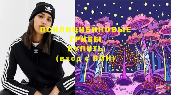 Альфа ПВП Покачи
