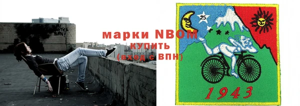 прущие грибы Вязники