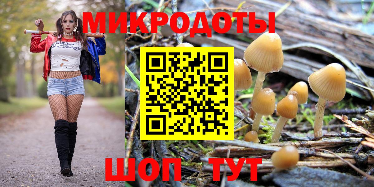 Псилоцибиновые грибы мухоморы Волжск