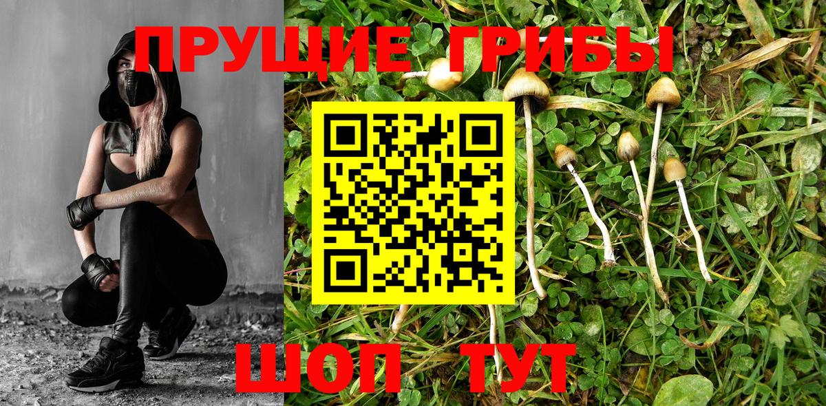 Псилоцибиновые грибы Magic Shrooms  Вход с VPN  Волжск 