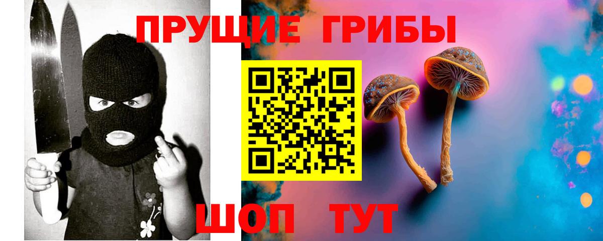 Галлюциногенные грибы мицелий Волжск