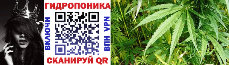 мега ONION  дарнет шоп  Волжск  Шишки марихуана OG Kush 