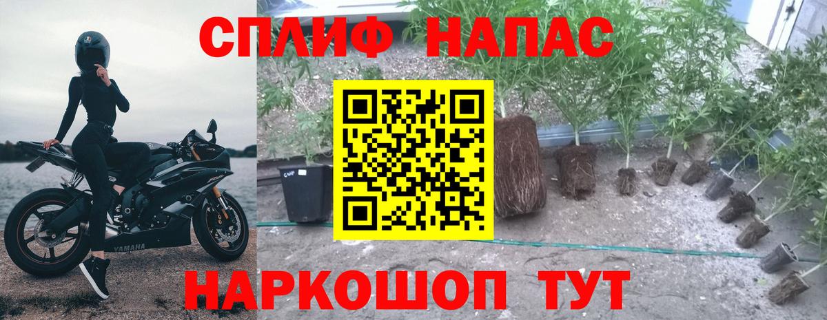 Бошки Шишки LSD WEED Волжск